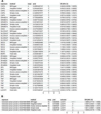 Single-cell transcriptomics and Mendelian randomization reveal LUCAT1’s role in right-sided colorectal cancer risk